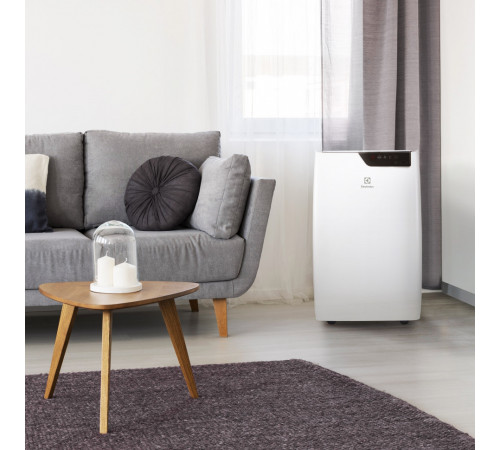 Мобильный кондиционер Electrolux EACM-09 GT/N6 Мобильный кондиционер Electrolux EACM-09 GT/N6